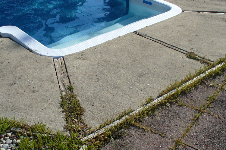 Coping Replacement By Thomas Pool, In Ground Pool Coping