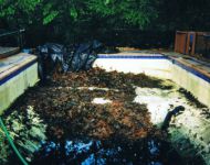 Expert Pool Opening & Closing Service by Thomas Pool Service